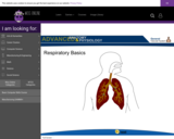 Wisc-Online Respiratory Basics