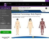 Wisc-Online Anatomical Terminology: Body Regions