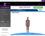 Wisc-Online The Organization of the Human Body: Body Cavities