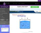 Wisc-Online The Cell: Passive Transport Diffusion