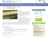 Wetting and Contact Angle