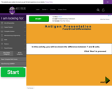 Wisc-Online Antigen Presentation: T and B Cell Differentiation