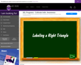 Wisc-Online Labeling a Right Triangle