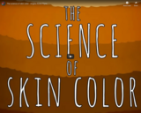 TED Ed - The science of skin color - Angela Koine Flynn