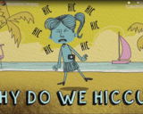 TED Ed - Why do we hiccup? - John Cameron