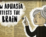 TED Ed - Aphasia: The disorder that makes you lose your words - Susan Wortman-Jutt