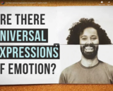 TED Ed - Are there universal expressions of emotion? - Sophie Zadeh