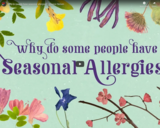 TED Ed - Why do people have seasonal allergies? - Eleanor Nelsen