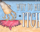 TED Ed - Why do we itch? - Emma Bryce