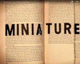 TED Ed - Mysteries of vernacular: Miniature - Jessica Oreck