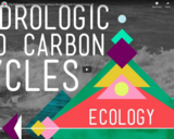 The Hydrologic and Carbon Cycles: Always Recycle! - Crash Course Ecology #8