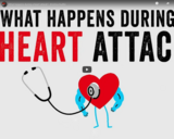 TED Ed - What happens during a heart attack? - Krishna Sudhir