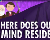 Where Does Your Mind Reside?: Crash Course Philosophy #22