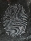 Do-It-Yourself Fingerprinting