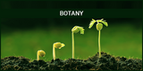 Botany Material