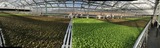 Statewide Dual Credit Introduction to Plant Science, Controlled Environment Production, Soilless and Hydroponic Production