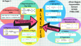Alkenes: Preparations and Reactions