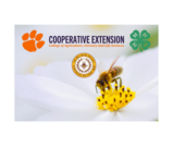 4-H Honey Bee Project Orientation