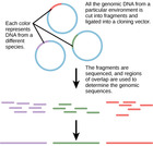 Biology, Genetics, Biotechnology and Genomics, Applying Genomics