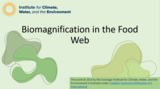 Biomagnification in the Food Web