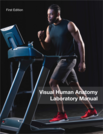 Visual Human Anatomy Laboratory Manual (Sample): Open for Antiracism (OFAR)