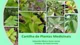 CARTILHA DE PLANTAS MEDICINAIS, 2020