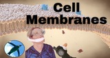 Cell Membranes Made EASY!