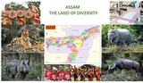 ASSAM,THE LAND OF DIVERSITY