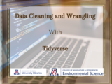 R Basics: Data Cleaning and Wrangling with Tidyverse