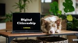 Digital Citizenship