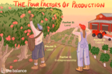 Factors of Production and Production Possibilities