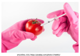 Problem Based Module: GMOs and Farming