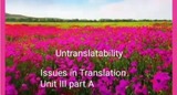Untranslatability