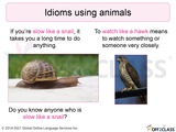 Idioms That Use Animal Vocabulary for ESL/ELL Students - Off2Class Lesson Plan