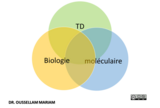 QCM de révision de biologie moléculaire