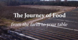 Farm to Table Virtual Field Trip and Educator's Guide