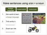 Introductory ESL Lesson Plan: A/An With Nouns