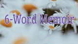 6-Word Memoir