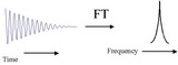 FT NMR