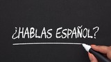 Spanish for Communication and Cultural Understanding (Beginner-Intermediate)
