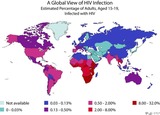 A Global View of HIV Infection
