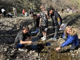 Fifth Grade Elementary Science and Integrated Subjects: Local Ecosystem Restoration