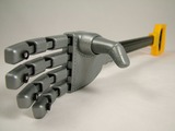 Give me a hand! Bioengineering for Prosthetic Limbs