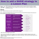 SADIE Strategies Infographic