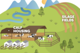 Virtual Farm Tour and Lesson Plan with Dairy Farmers of Washington