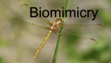 2nd Grade Biomimicry Lesson Plan