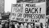 20th Century LGBTQ+ Americans: the Experience of Difference - The Own Your History® Collection