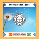 The Reason for a Seed