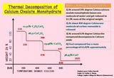 Thermal Decomposition of Calcium Oxalate Monohydrate