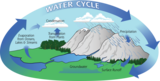 The Water Cycle